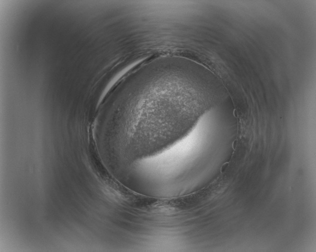X0000068900648200605192202