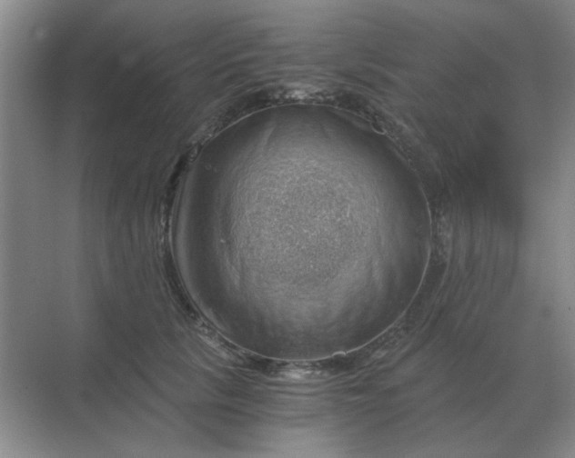 X0000068900657200605192202