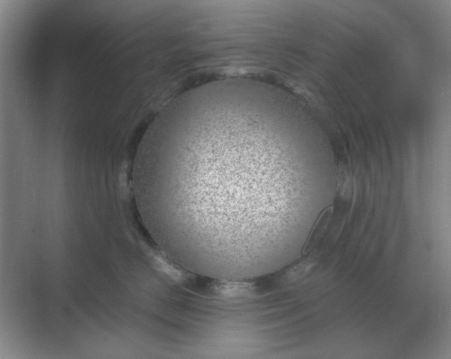 X0000068900670200605192202