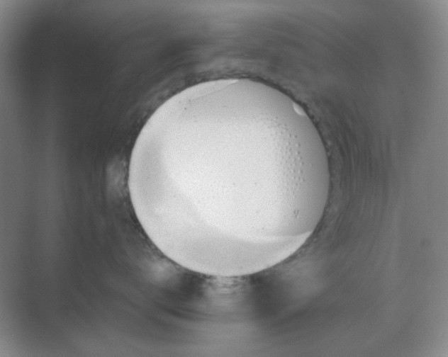 X0000068900672200605192202
