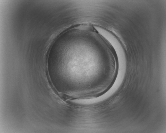 X0000068900673200605192201