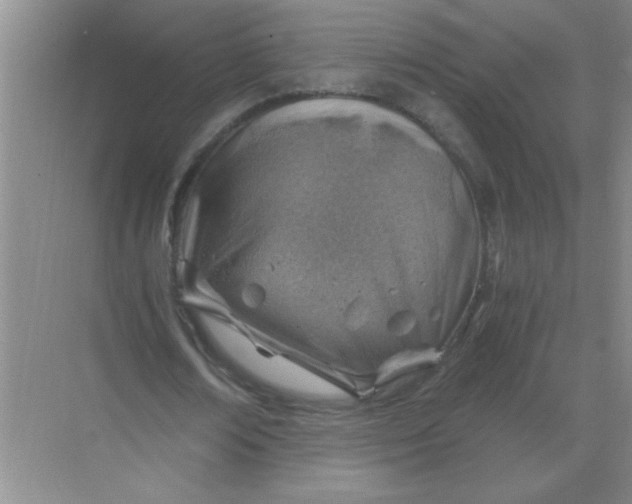 X0000068900674200605192201