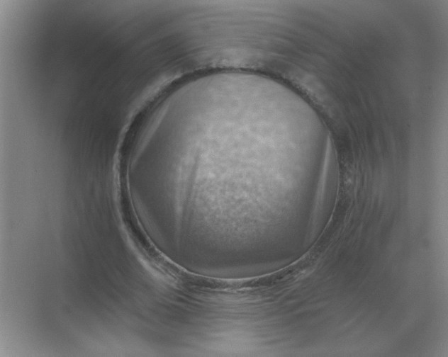 X0000068900678200605192201