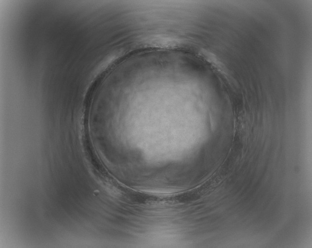 X0000068900679200605192201