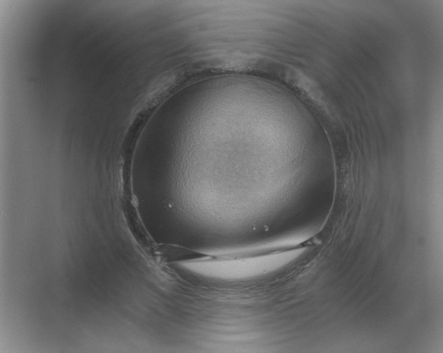 X0000068900685200605192201