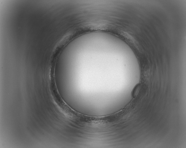 X0000068900686200605192201