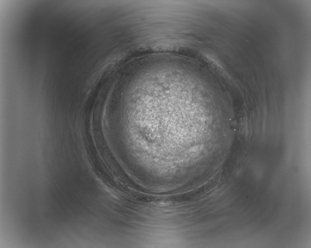 X0000068900687200605192201