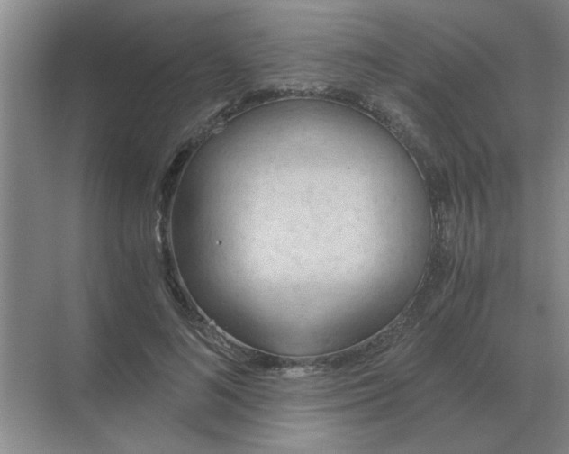 X0000068900692200605192201