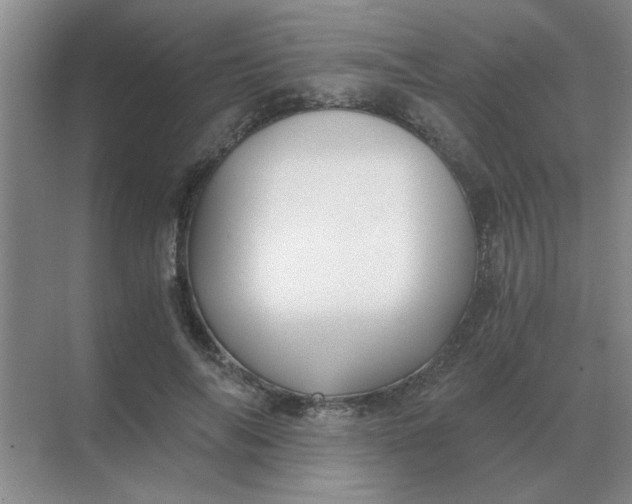 X0000068900694200605192201