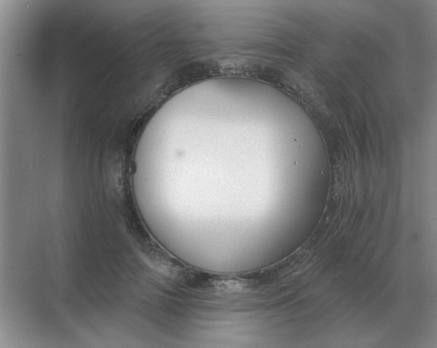 X0000068900698200605192201