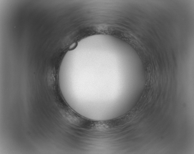 X0000068900702200605192201