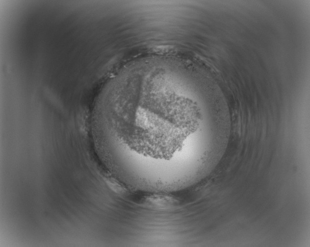 X0000068900712200605192201