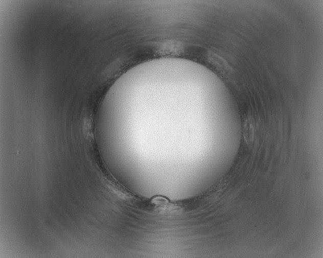 X0000068900714200605192201