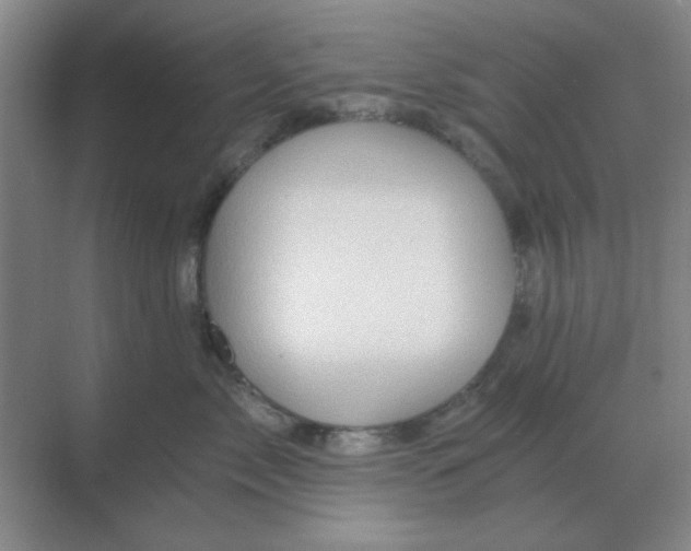 X0000068900717200605192201