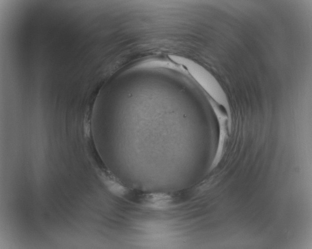 X0000068900719200605192201