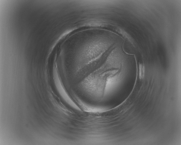 X0000068900723200605192200