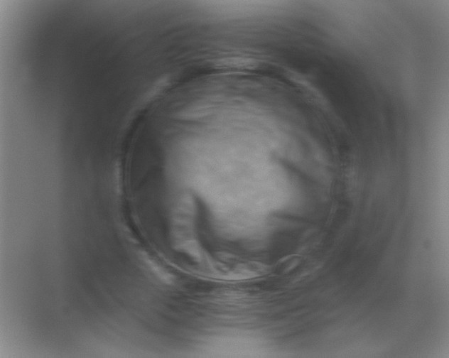 X0000068900729200605192200