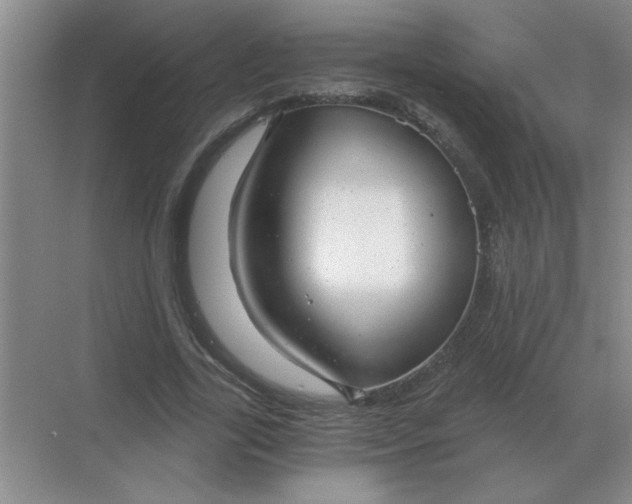 X0000068900731200605192200