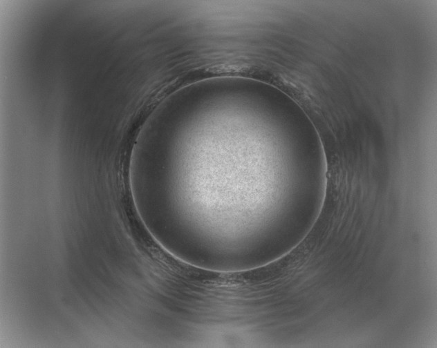 X0000068900743200605192200