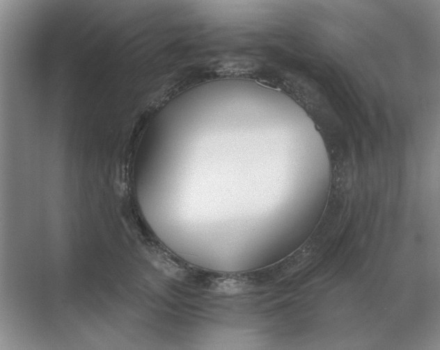 X0000068900755200605192200