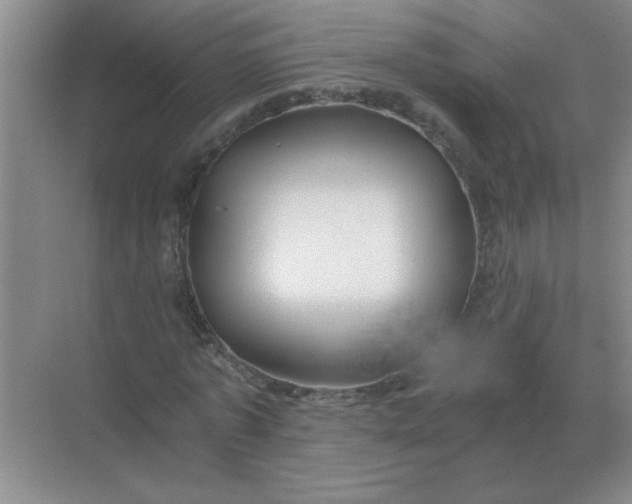 X0000068900773200605192200