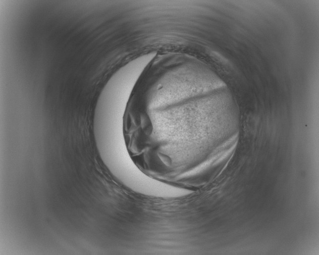 X0000068900774200605192200