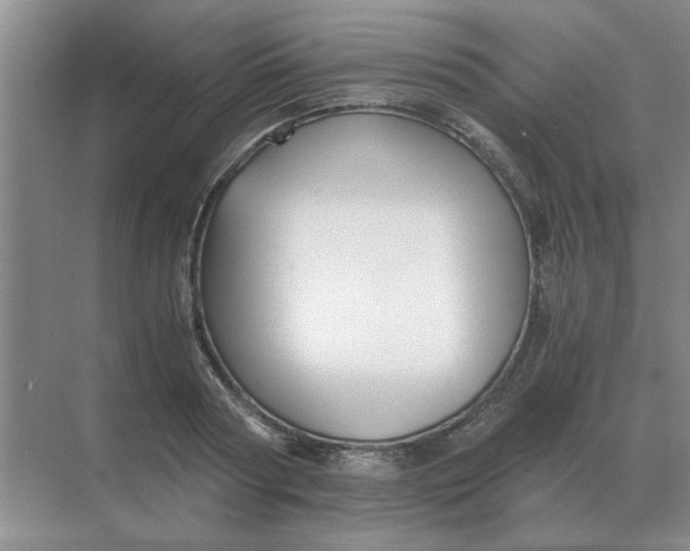 X0000068900794200605192159