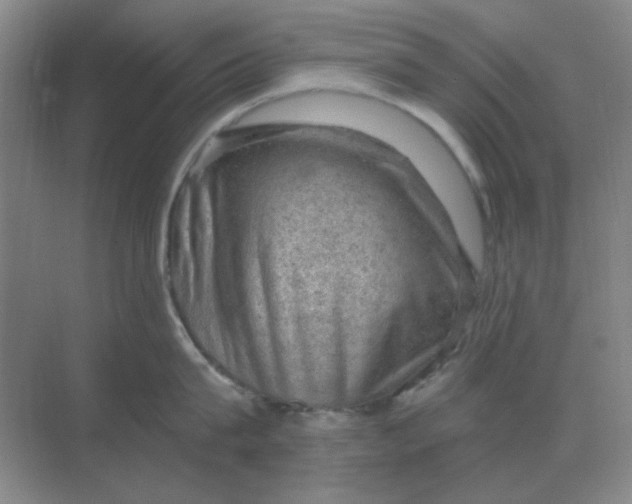 X0000068900815200605192159