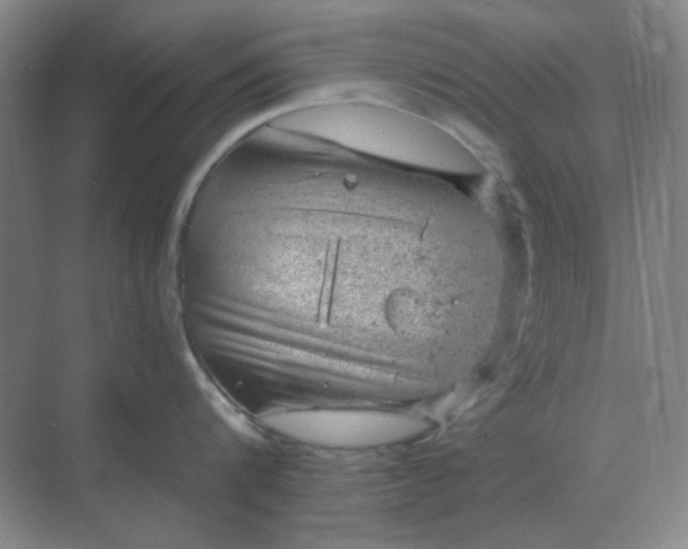 X0000068900816200605192159