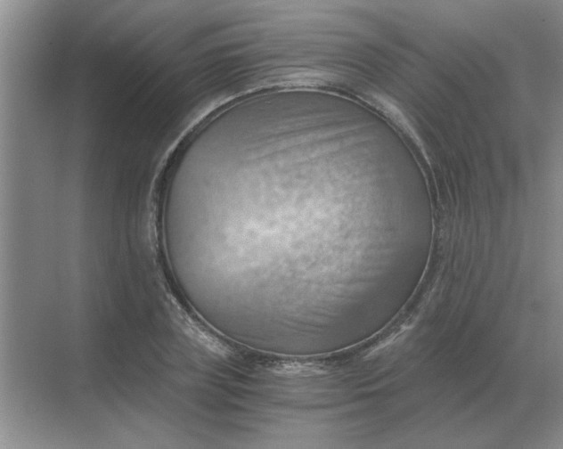 X0000068900835200605192158