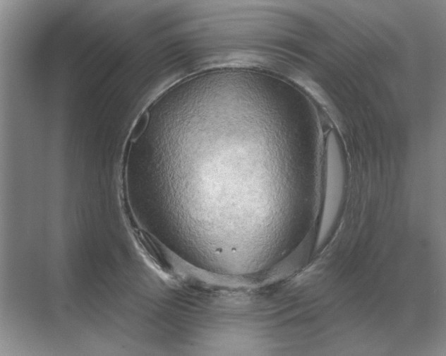 X0000068900850200605192159