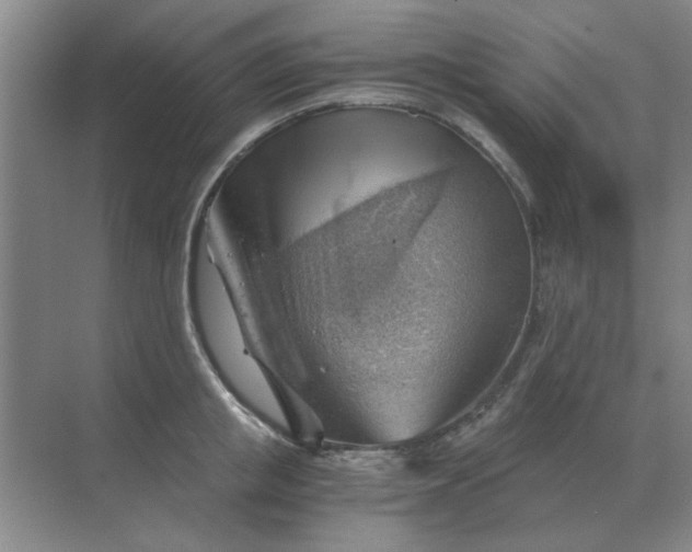 X0000068900853200605192159