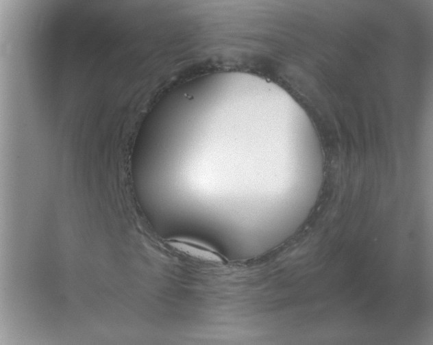 X0000068900865200605192158