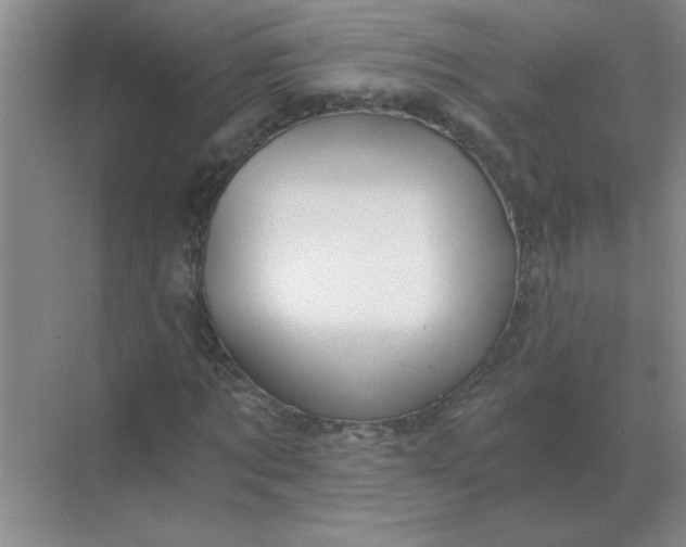 X0000068900869200605192158