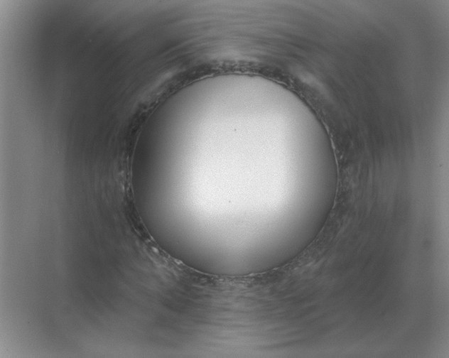 X0000068900870200605192158
