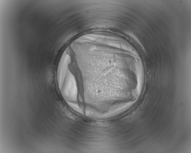 X0000068900874200605192158