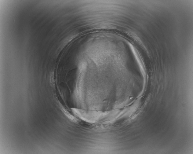 X0000068900881200605192158