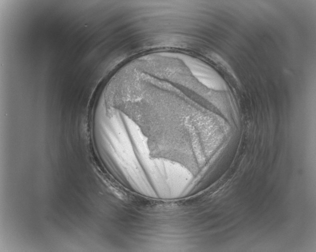 X0000068900882200605192158