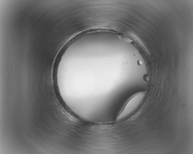 X0000068900884200605192158