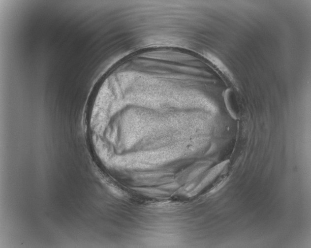X0000068900885200605192158