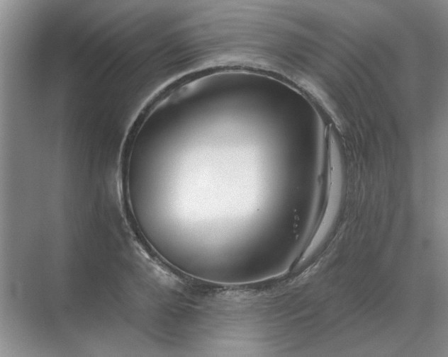 X0000068900888200605192158