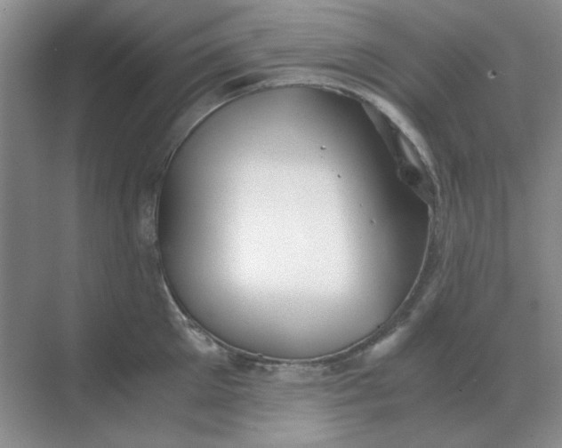 X0000068900905200605192158
