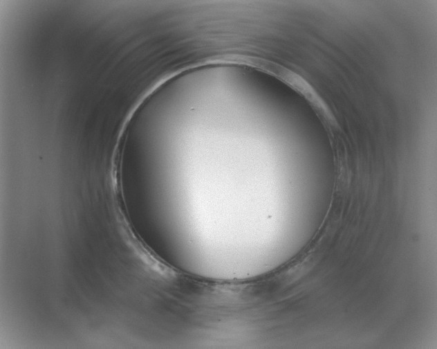 X0000068900908200605192157