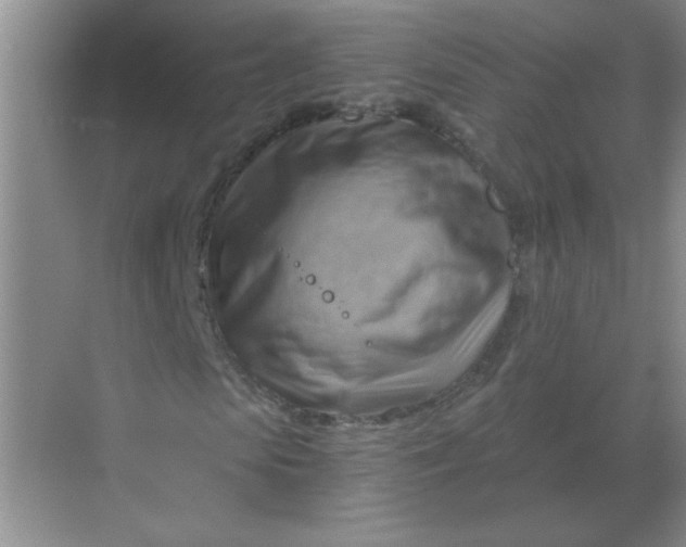 X0000068900913200605192157