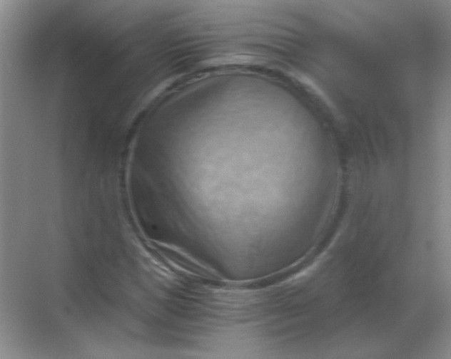 X0000068900921200605192157