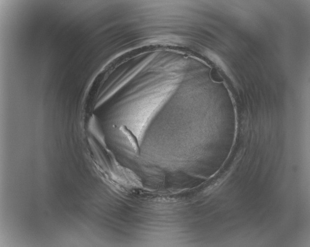 X0000068900923200605192157