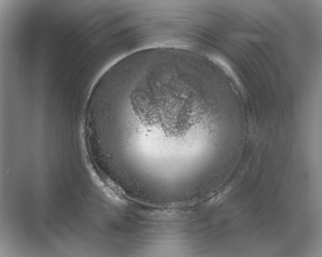 X0000068900952200605192157