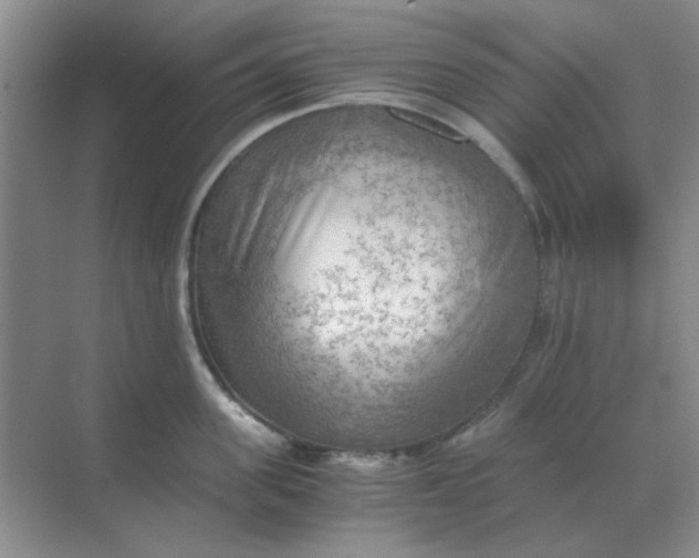 X0000068900955200605192157
