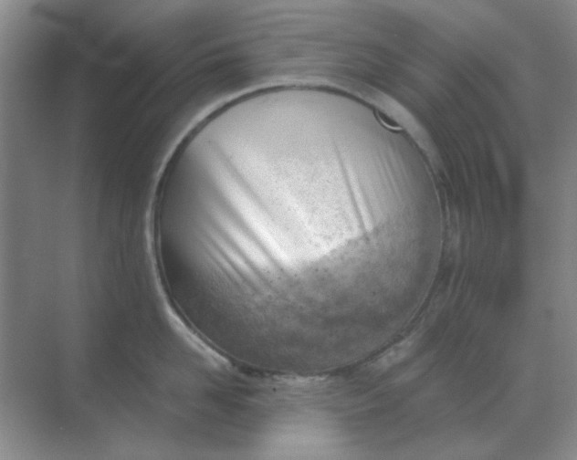 X0000068900958200605192157