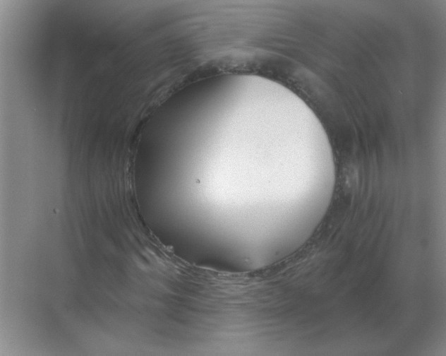 X0000068900964200605192157